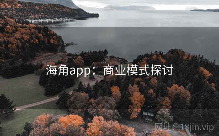 海角app：商业模式探讨