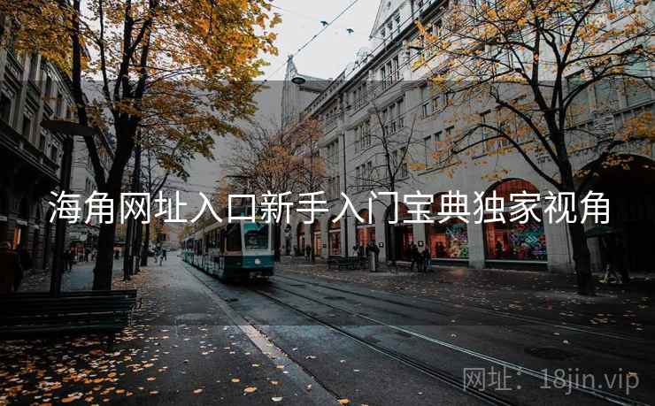 海角网址入口新手入门宝典独家视角