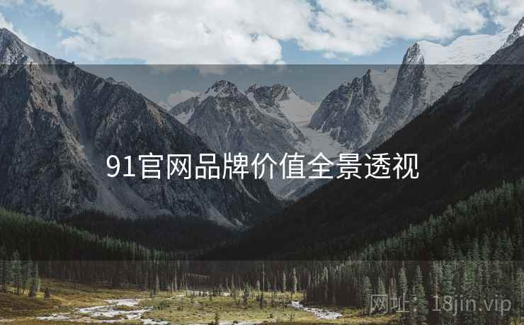 91官网品牌价值全景透视