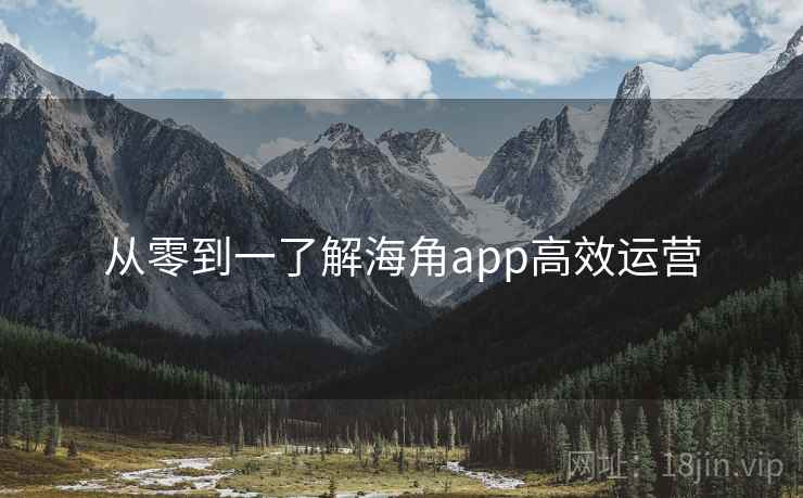 从零到一了解海角app高效运营